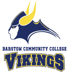 Team 4 Logo