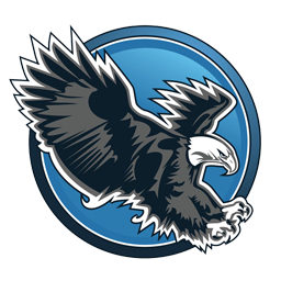 Team 8 Logo