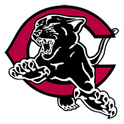 Team 9 Logo