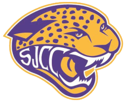 Team 5 Logo